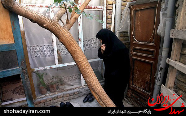 عکس/سفر رئیس کمیته امداد امام خمینی(ره) به تبریز