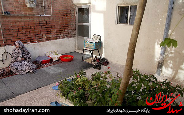 عکس/سفر رئیس کمیته امداد امام خمینی(ره) به تبریز