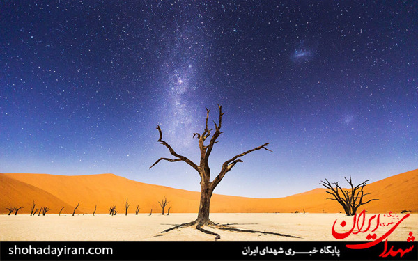 عکس/برندگان مسابقه نشنال جئوگرافیک