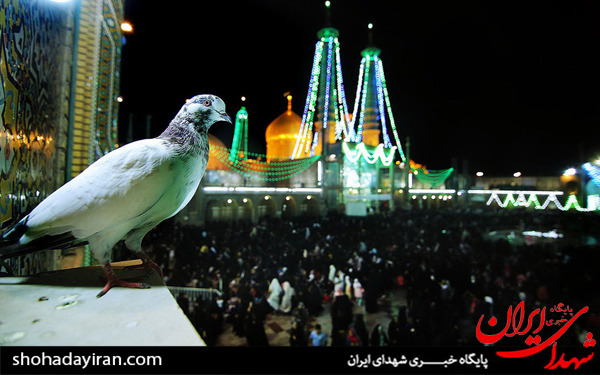 عکس/زائران حرم مطهر حضرت معصومه (س) در شب میلاد کریمه اهل بیت (ع)