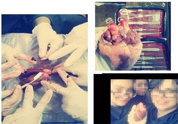 برخورد انضباطی به خاطر برخورد انضباطی به خاطر