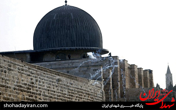 عکس/حمله سگهای رژیم صهیونیستی به نمازگزاران در مسجدالاقصی