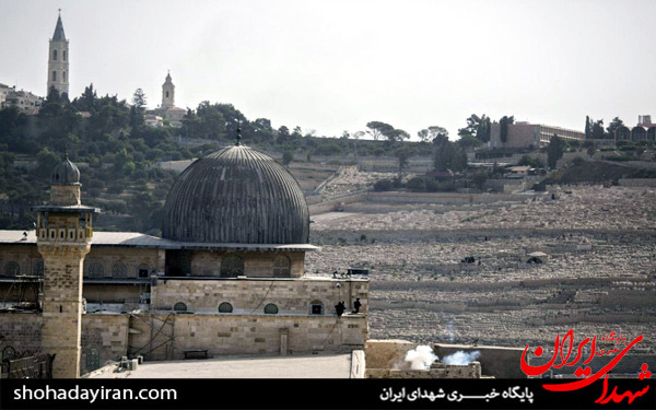 عکس/حمله سگهای رژیم صهیونیستی به نمازگزاران در مسجدالاقصی