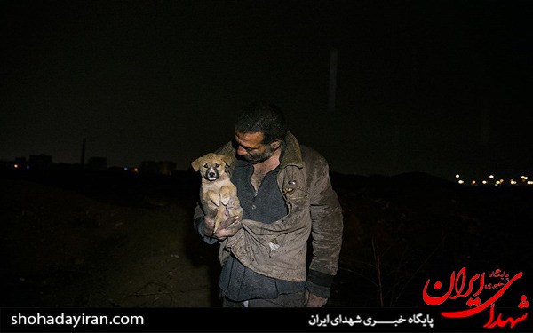 عکس/شب های تهران عکس/شب های تهران