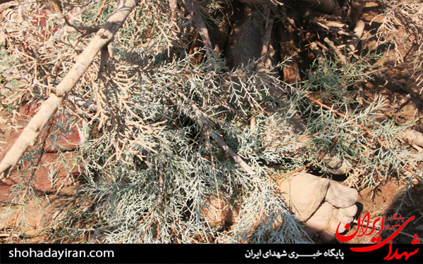 عکس/پاکدشت پس از سیل