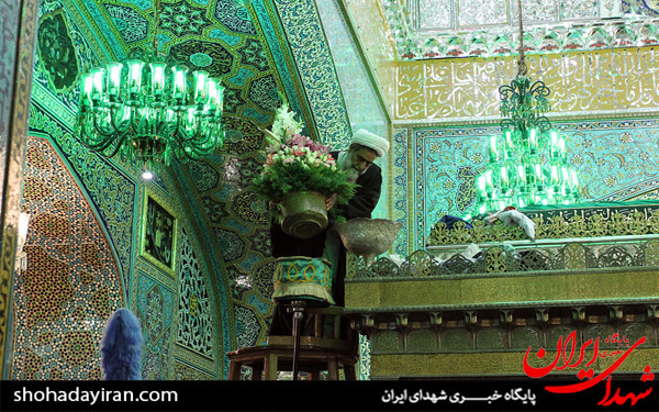 عکس/آیین تعویض گل های فوق ضریح مطهر امام رضا علیه السلام