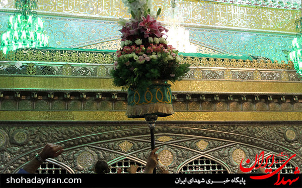 عکس/آیین تعویض گل های فوق ضریح مطهر امام رضا علیه السلام