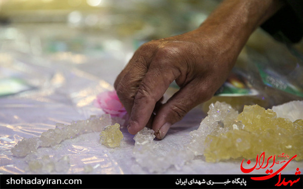 عکس/بسته بندی نبات متبرک توسط خادمان حرم امام رضا (ع) - مشهد