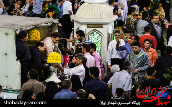 عکس/در آستانه میلاد حضرت امام رضا(ع)