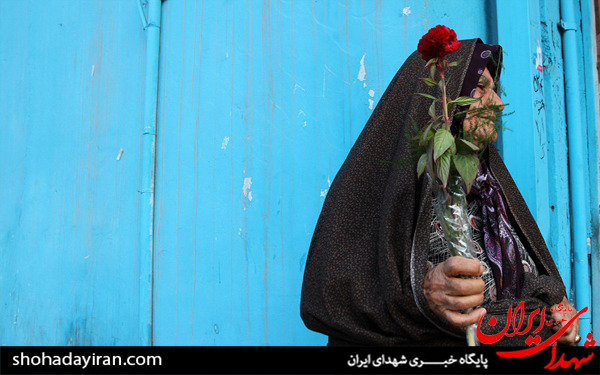 عکس/آئین گلباران حرم مطهر رضوی