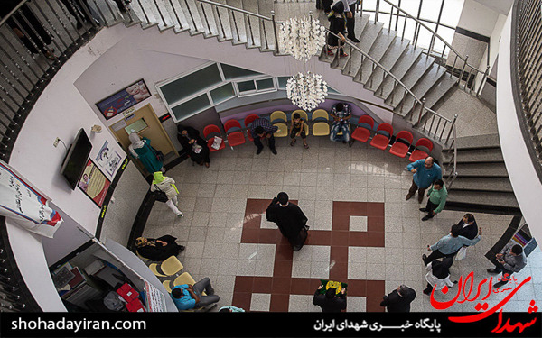 عکس/حضور کاروان زیر سایه خورشید در مازندران