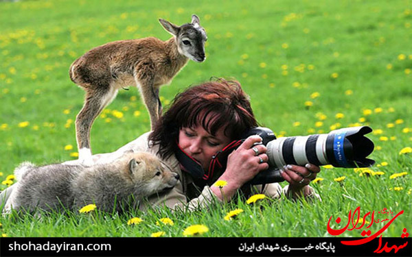 عکس/تصاویری از حیوانات با عکاسان
