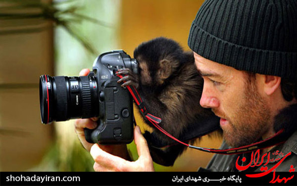عکس/تصاویری از حیوانات با عکاسان
