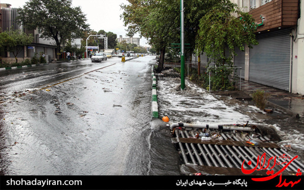 عکس/بارش شدید باران در تهران