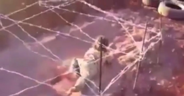 سینهخیز ماهرانه کودک داعشی میان گلوله و...!+عکس سینهخیز ماهرانه کودک داعشی میان گلوله و...!+عکس