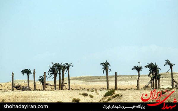 عکس/شهرک سینمایی دفاع مقدس
