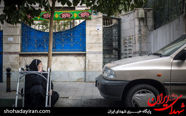 عکس/متوسلین حسینی عکس/متوسلین حسینی