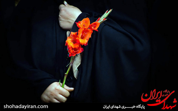 عکس/مراسم تشییع پیکر مطهر شهید مهدی طیبی
