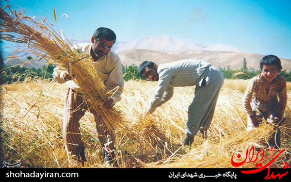 عکس/خاطرات سرخ ایثار عکس/خاطرات سرخ ایثار