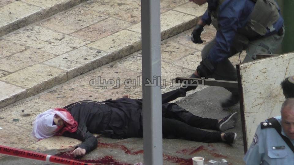 دختری که در الخلیل شهید شد که بود؟ + عکس دختری که در الخلیل شهید شد که بود؟ + عکس