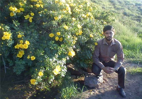 تصاویری از مدافع حرم شهید حمید سیاهکالی مرادی تصاویری از مدافع حرم شهید حمید سیاهکالی مرادی