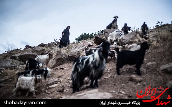 عکس/ اردوی جهادی در روستاهای شهرستان بازفت