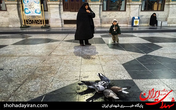 عکس/ زائران حرم مطهر رضوی
