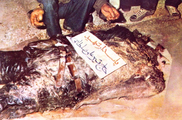 سرداری که سر در بدن نداشت! +عکس سرداری که سر در بدن نداشت! +عکس