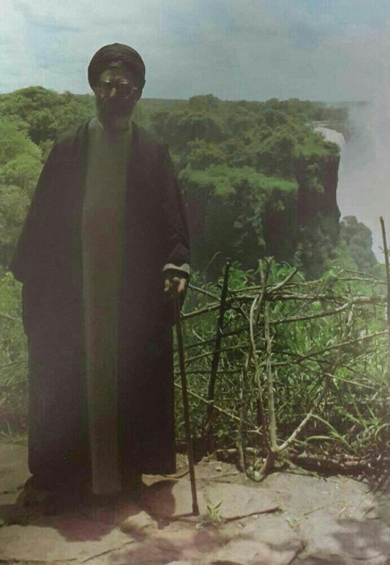 آیت‌الله خامنه‌ای در کنار آبشار ویکتوریا +عکس