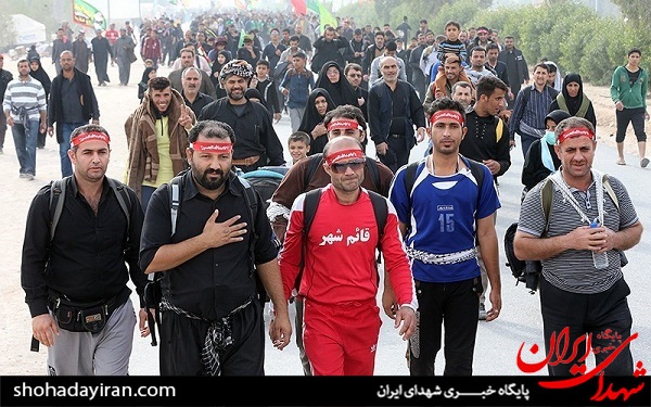 عکس/ از نجف تا کربلا