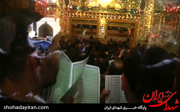 عکس/ زیارت در نجف