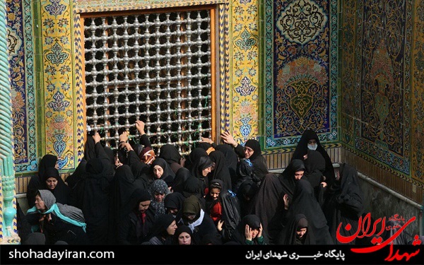 عکس/ زیارت در نجف