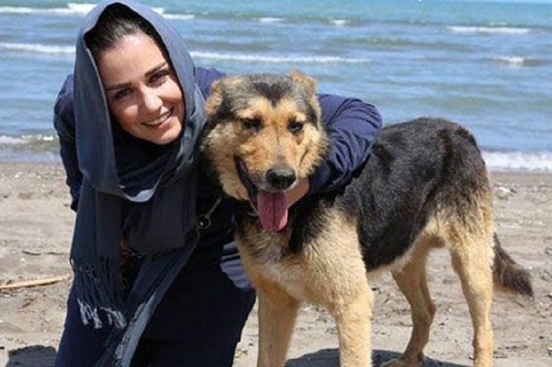 سیمای هنرمندانی غرق در اندیشه جهان غربی! سیمای هنرمندانی غرق در اندیشه جهان غربی!