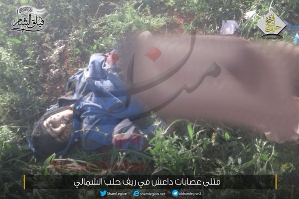 تکهتکه شدن اجساد عناصر داعش در حلب+عکس تکهتکه شدن اجساد عناصر داعش در حلب+عکس