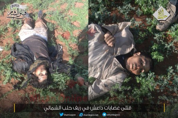 تکهتکه شدن اجساد عناصر داعش در حلب+عکس تکهتکه شدن اجساد عناصر داعش در حلب+عکس