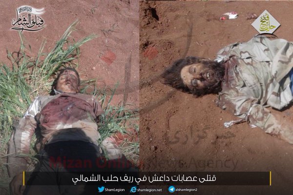 تکهتکه شدن اجساد عناصر داعش در حلب+عکس تکهتکه شدن اجساد عناصر داعش در حلب+عکس