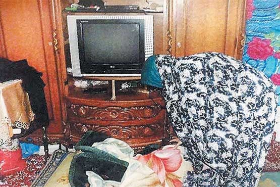 گریههای قاتل گریههای قاتل