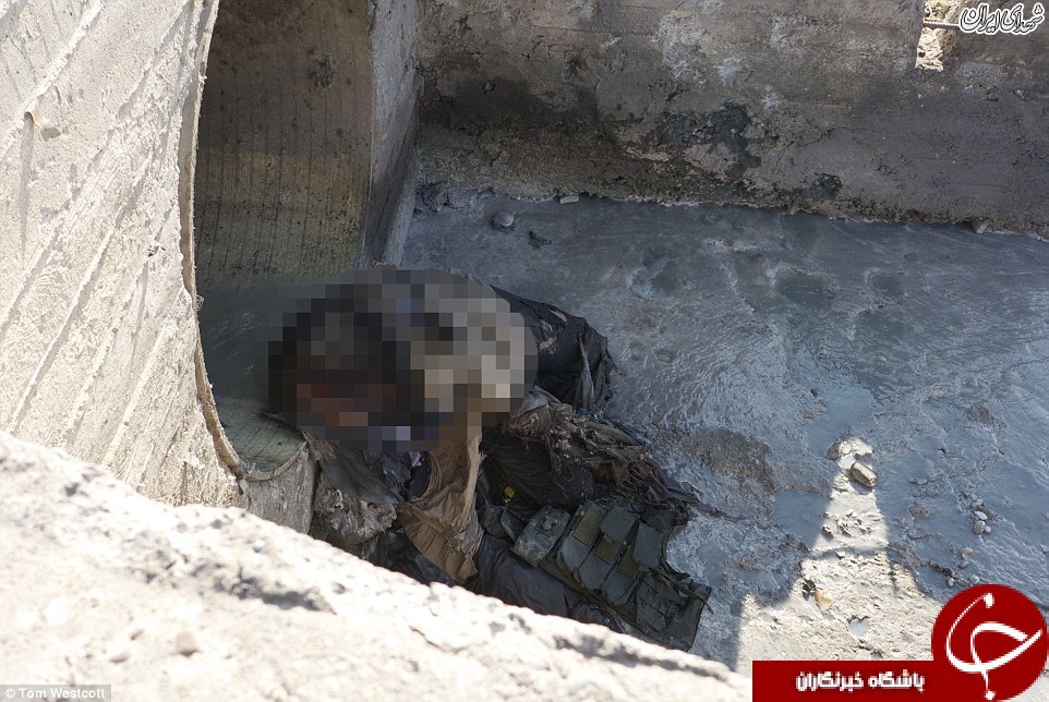 اجساد داعشی ها خوراک اجساد داعشی ها خوراک