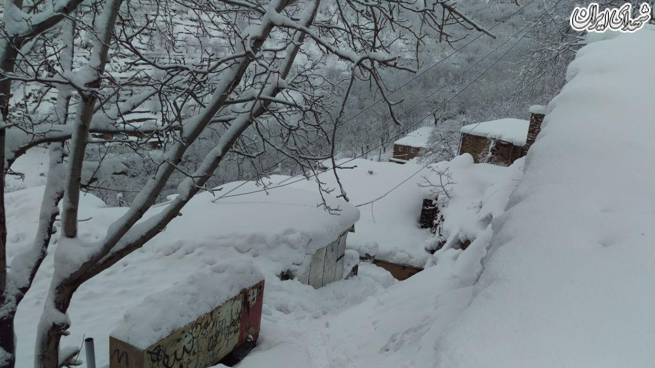 محصور شدن یک روستای مرزی در برف + عکس محصور شدن یک روستای مرزی در برف + عکس