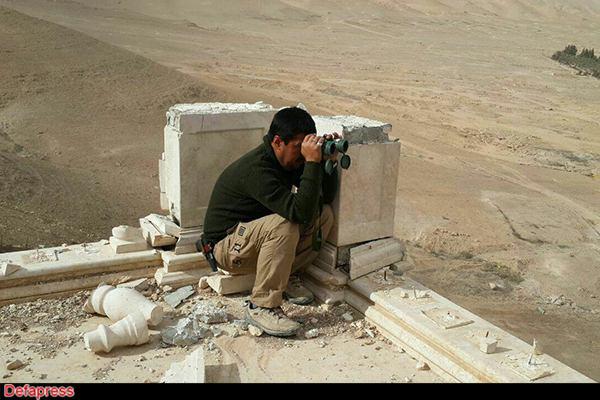 فرمانده شهید لشکر فاطمیون به روایت تصاویر