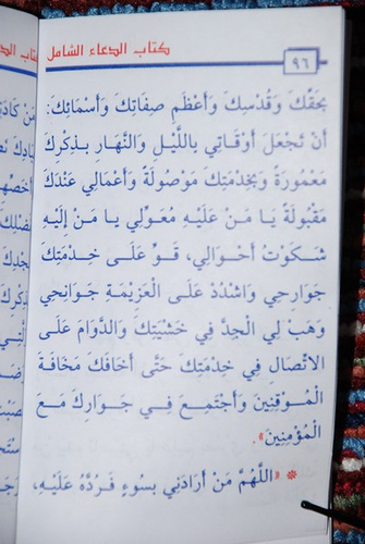 وهابیها وهابیها