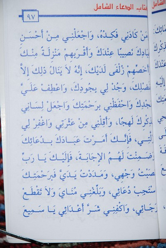 وهابیها وهابیها