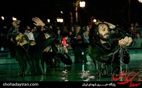 عکس/ نمایش دریادلان