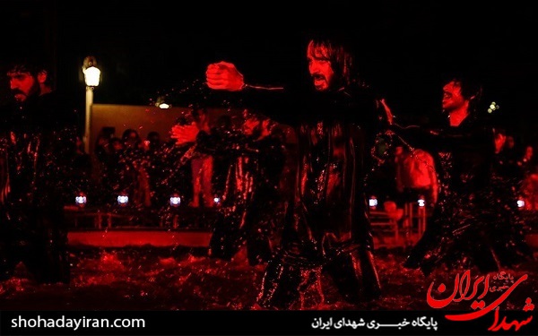 عکس/ نمایش دریادلان