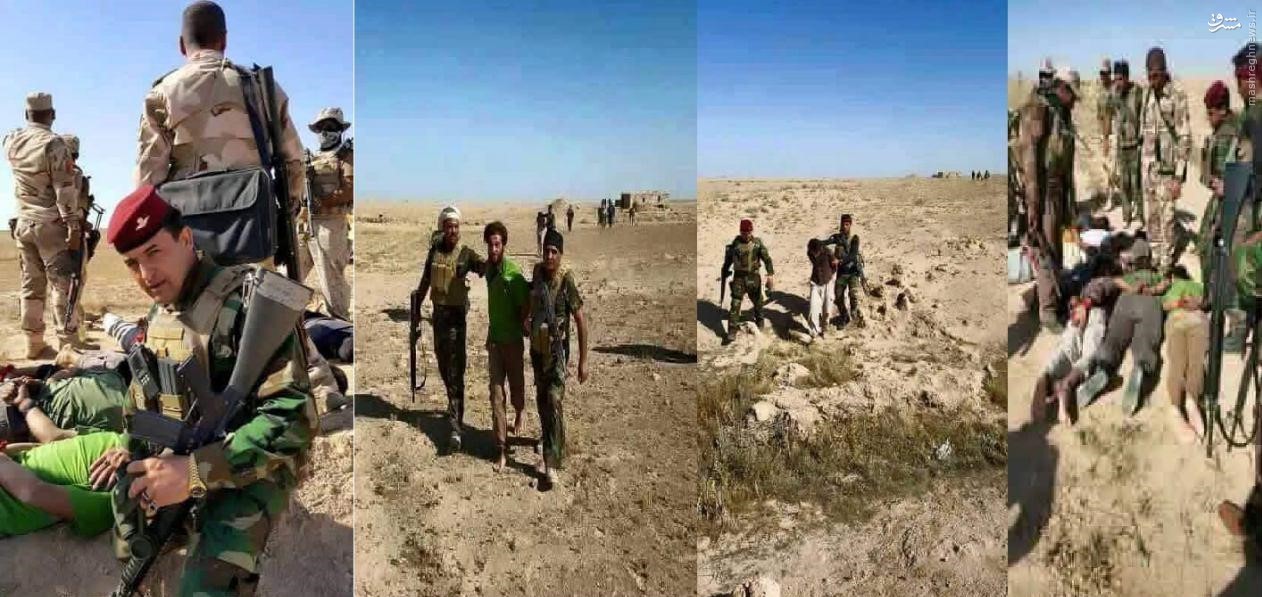 عکس/ به اسارت گرفتن داعشی‌ها در فلوجه عراق