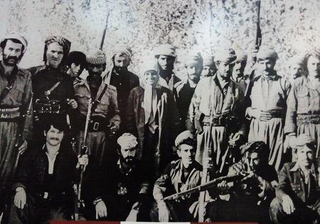 یک شیرزن در جمع مدافعان شهر پاوه +عکس یک شیرزن در جمع مدافعان شهر پاوه +عکس