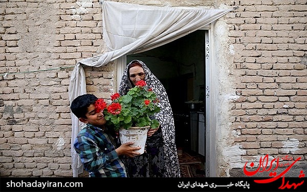 عکس/ فعالیت 
