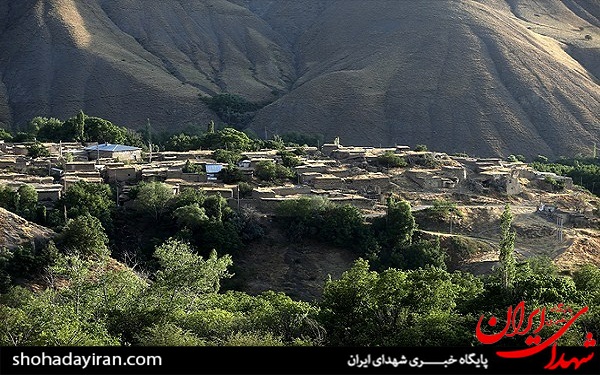 عکس/ فعالیت 