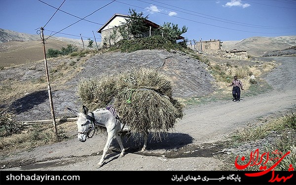 عکس/ فعالیت 