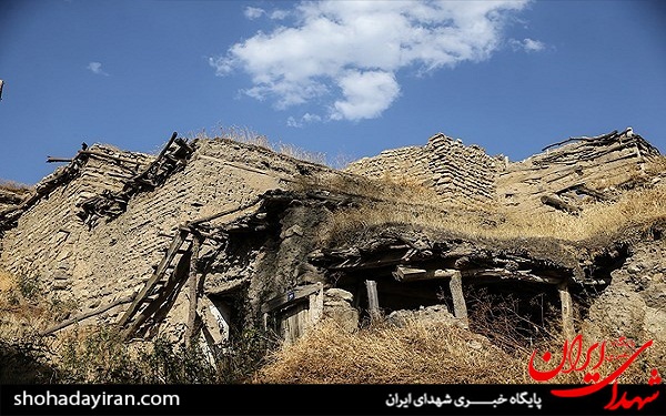 عکس/ فعالیت 